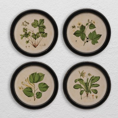 Set of 4 Vintage Botanical Print Wood Framed Wall Art