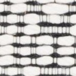 ivory/black