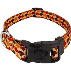 Country Brook Design® Deluxe Dog Collar - Awesome Autumn Collection - Made In The U.S.A. - 1 of 4