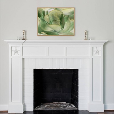 30" x 23" Green Botanical Canvas Framed Wall Art