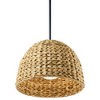 Raffiana 14" 1-Light Pendant with Opal Glass in Black - 3 of 4