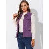 INSPIRE CHIC Women's Buttoned Sleeveless Faux Suede Utility Vest with Cargo Pocket - 2 of 4
