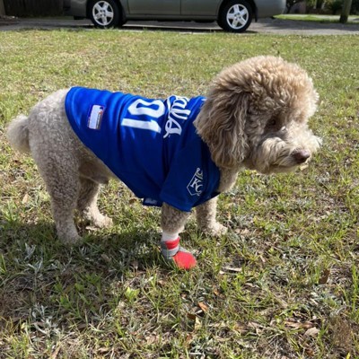 Mlb Kansas City Royals Pets First Pet Baseball Jersey - Blue M : Target