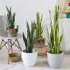 Fake Snake Plant with Pot, Realistic Faux Potted Artificial Snake Plant for Home, Living Room, Office & Outdoor Garden Decoration - 3 of 4