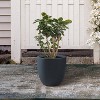 Rosemead Home & Garden Concrete Outdoor Planter Pot Black 13.39"x13.39"x12.6" - 3 of 4