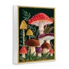Stupell Industries Woodland Mushrooms Nature Framed Giclee Art - 2 of 4