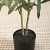 Kazeila Artificial Plastic Olive Tree in Pot, Pre Potted Faux Greenry Olive Tree for Home Decor - 3 of 4