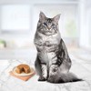 Blue Buffalo Tastefuls Mature Cat Chicken Entree Pate Senior Wet Cat Food - 3oz - 2 of 4