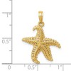Black Bow Jewelry 14k Yellow Gold 19mm Textured and Cutout Starfish Pendant - 4 of 4