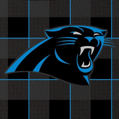 carolina panthers