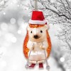Skiing Hedgehog Christmas Glass Ornament| OrnamentallyYou - 4 of 4
