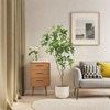 Artificial Tree Indoor, Tall Faux Plants In Pot, Potted Faux Aralia Plants For Home Office Living Room Decor - 3 of 4