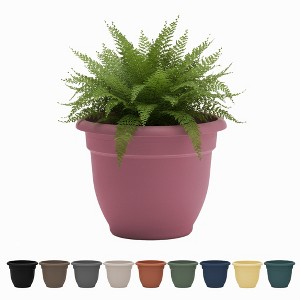 Bloem Ariana Round Resin Planter Pot Indoor and Outdoor Gardening - 1 of 4