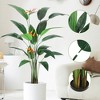 Artificial Bird of Paradise Tree Fake Palm Tree for Indoor Outdoor Modern Decor Faux Plants for Home Office Perfect Housewarming Gift - 3 of 4