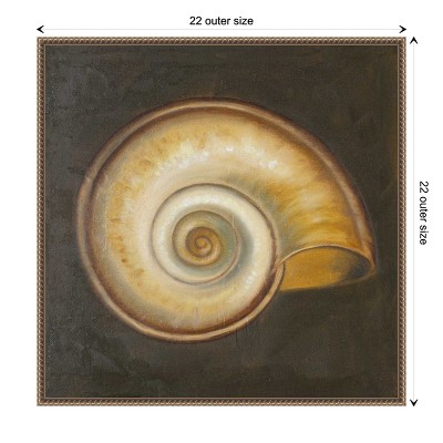 Patricia Pinto Nautical Seashell Canvas Framed Wall Art 22 x 22-in.
