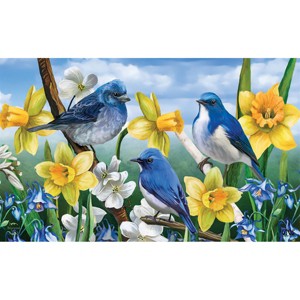 Briarwood Lane Doormat 30x18 Indoor Outdoor Bluebirds and Daffodils Spring For Spring Doormat - 1 of 4
