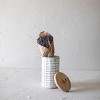 Multi Pattern Canister Metal & Wood - Foreside Home & Garden - 2 of 4