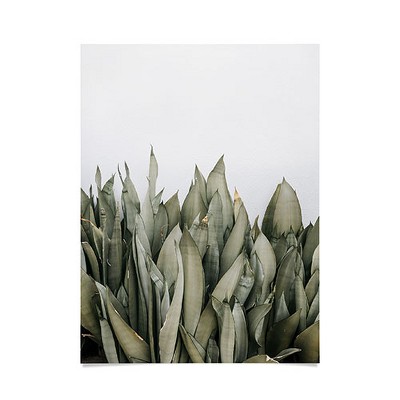 Romana Lilic / LA76 Photography Moonshine Snake Plant 18" x 24" Poster - Society6