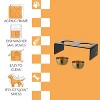 THE LICKER STORE Keaton Modern Lucite Rectangular Elevated Pet Feeder with 2-Stainless Steel Bowls - 3 of 4