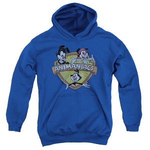 Boys’ Animaniacs Shielded Animaniacs Hooded Sweatshirt - 1 of 4