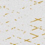 seth freakin rollins