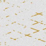 seth freakin rollins