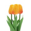 Unique Bargains Artificial Plants Tulip Plastic 3.15"x3.15"x9.84" 1 Pcs - 4 of 4