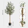 Acekool Artificial Olive Tree in Pot with Lifelike Fruits – Indoor Faux Silk Potted Tree for Home and Office - 4 of 4