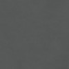 charcoal