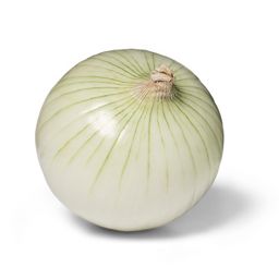 Fresh White Onion - each