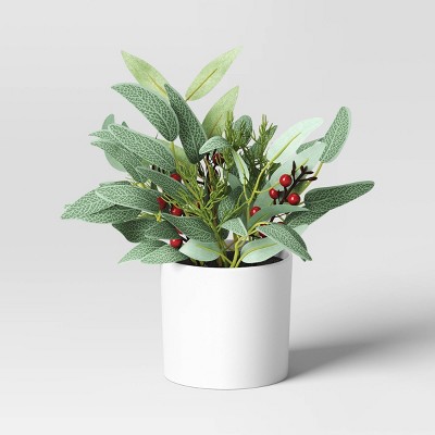 Eucalyptus with Red Berry Artificial Plant - Threshold™