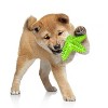 Cesicia Duck-Shaped Dog Plush Toy With Squeaky Ball Crinkle Paper Cute Interactive Puppy Toy for Small Medium Large Dogs, 3Pcs - 3 of 4