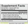 WELL TOLD HEALTH, BLOATING BE GONE, 60 vegan capsules (pack of 1) - 3 of 3