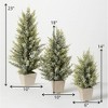 Sullivans 23", 18" & 14" Pine & Berry Artificial Tree Set of 3, Green - 3 of 4