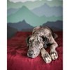 Big Barker 7" Orthopedic Dog Bed - Headrest Edition - 2 of 4