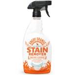 Angry Orange Cat-Friendly Enzyme Stain Cleaner Spray - 24 fl oz