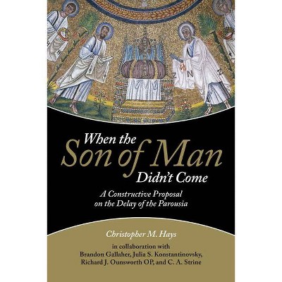 When the Son of Man Didn't Come - by  Christopher M Hays (Paperback)