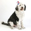 Midlee Uncle Sam 4th of July Hat for Large Dogs Headband- Captain Halloween Costume - 2 of 4