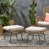NicBex 2pc Modern Outdoor Montana Ottoman with Iron and Plastic - 4 of 4