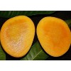Fresh Malgova Mangoes -7 Pcs - 2 of 4