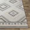 Hauteloom Oreana Area Rug - 4 of 4