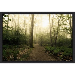 Amanti Art Appalachian Trail by Andy Magee Framed Canvas Wall Art - 1 of 4
