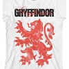 Harry Potter Gryffindor Grunge Effect White T-Shirt Toddler Boy to Youth Boy - 2 of 3