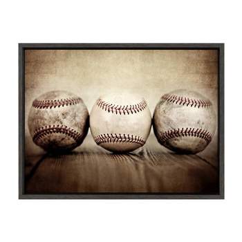 18" x 24" Sylvie Three Vintage Baseballs Framed Canvas by Shawn St. Peter Gray - DesignOvation