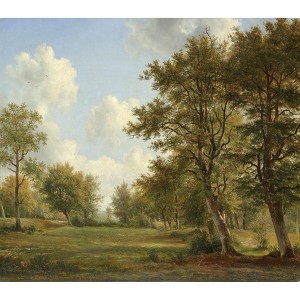 Veer Decor Serene Woodlands Wall Mural - 1 of 2