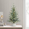 Puleo 36" Pre-lit Potted Arctic Fir Mini Artificial Christmas Tree with COLOR Lights: Indoor/Outdoor, PVC - 2 of 4