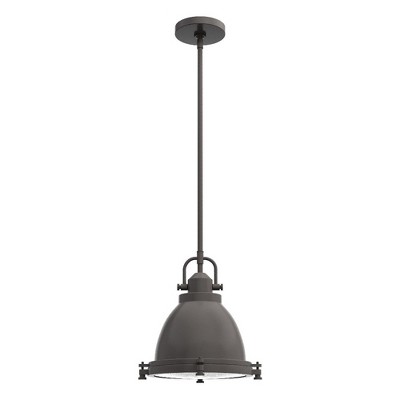 Hunter Fans Bridgemoor 1 - Light Pendant in  Noble Bronze