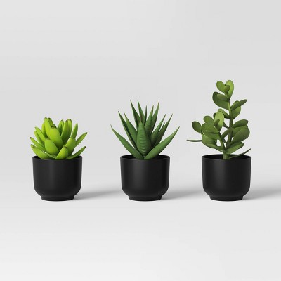 Succulent Artificial in Black Pot - Room Essentials™