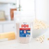 Redmond Life Real Salt Popcorn Salt Pouch 10 oz - 2 of 4