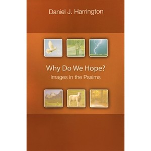 Why Do We Hope? - by  Daniel J Harrington (Paperback) - 1 of 1